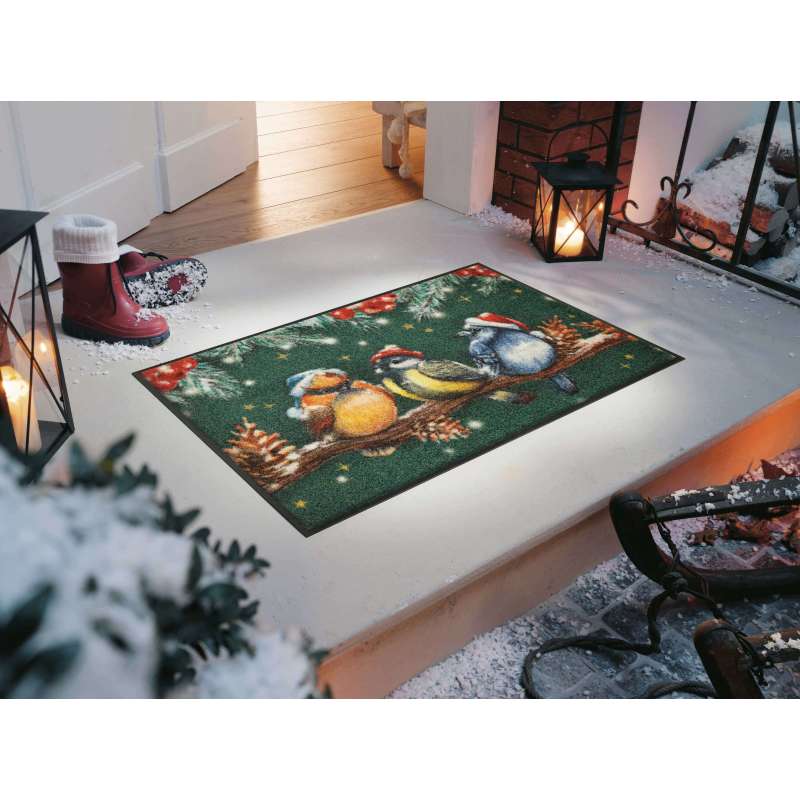 Wycieraczka Winter Birds 50 x 75